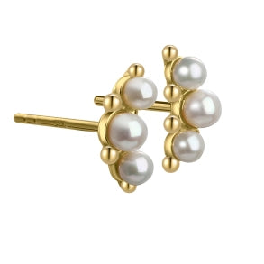 Aqua Dulce Page ørestikker