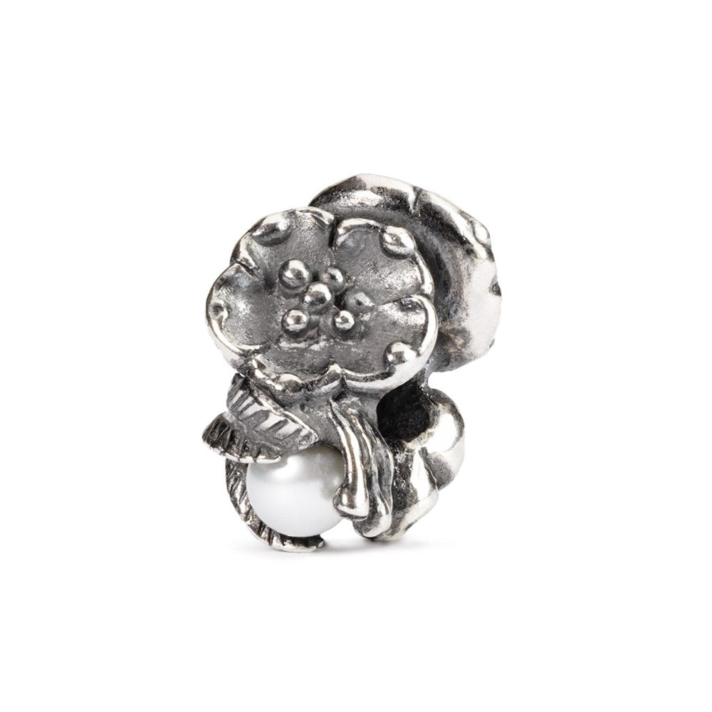 Trollbeads Maj Havtorn