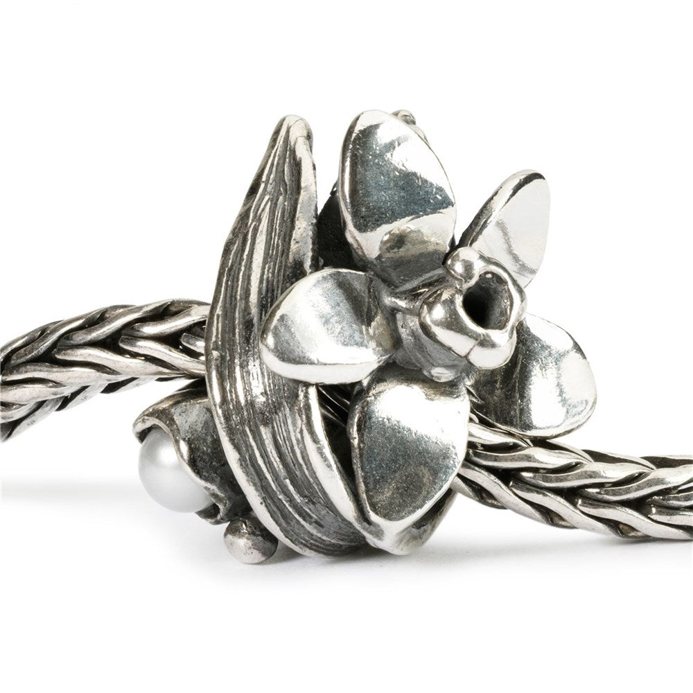 Trollbeads December Pinselilje