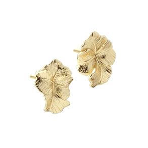 Aqua Dulce Folio ørestikker