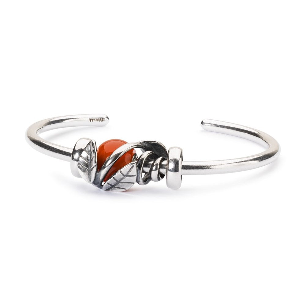 Trollbeads Indrammet af natur