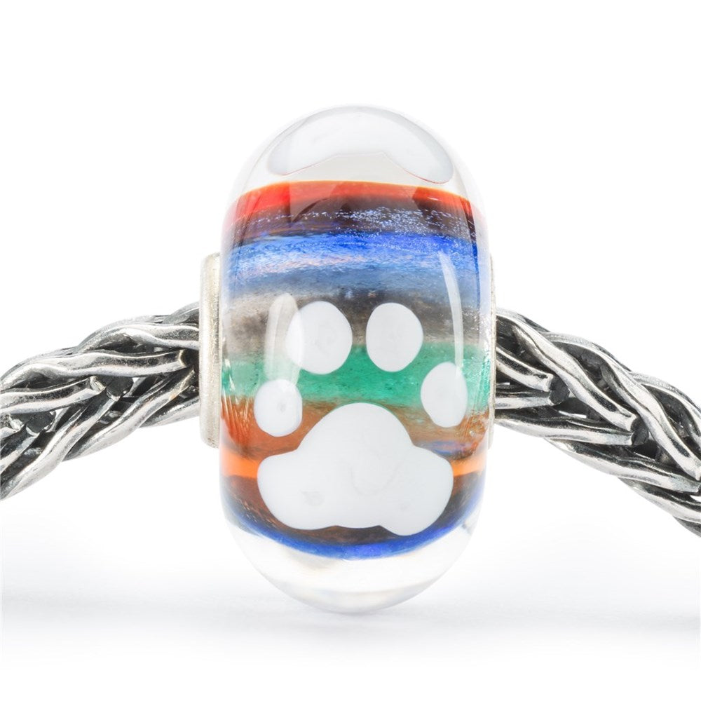 Trollbeads Lifelong Companion Bead