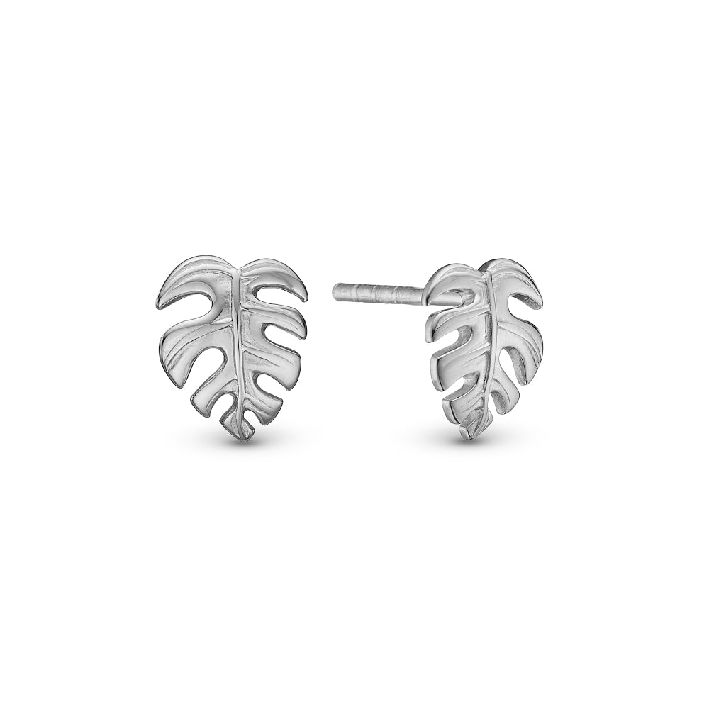 Christina Jewelry Rainforest ørestikker