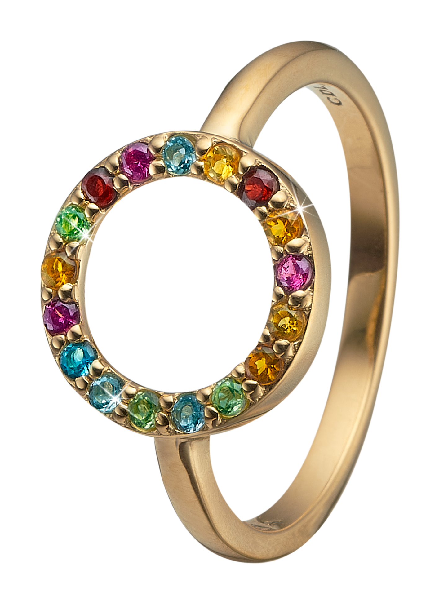 Christina ring World Goals