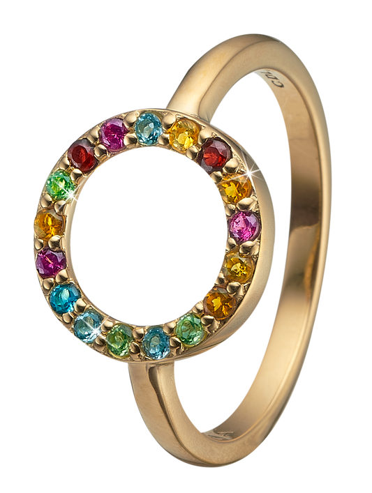 Christina ring World Goals