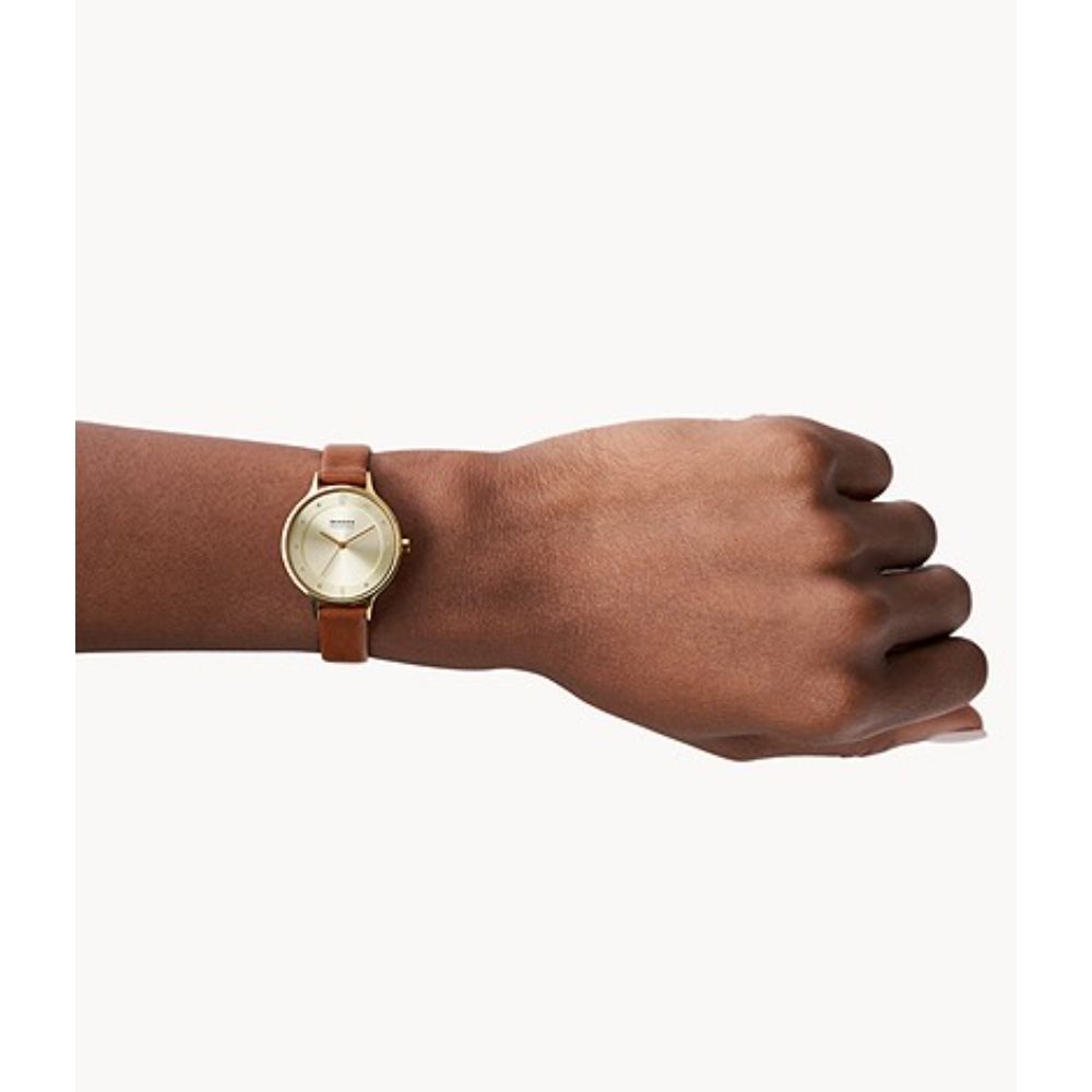 Skagen Dame SKW2647