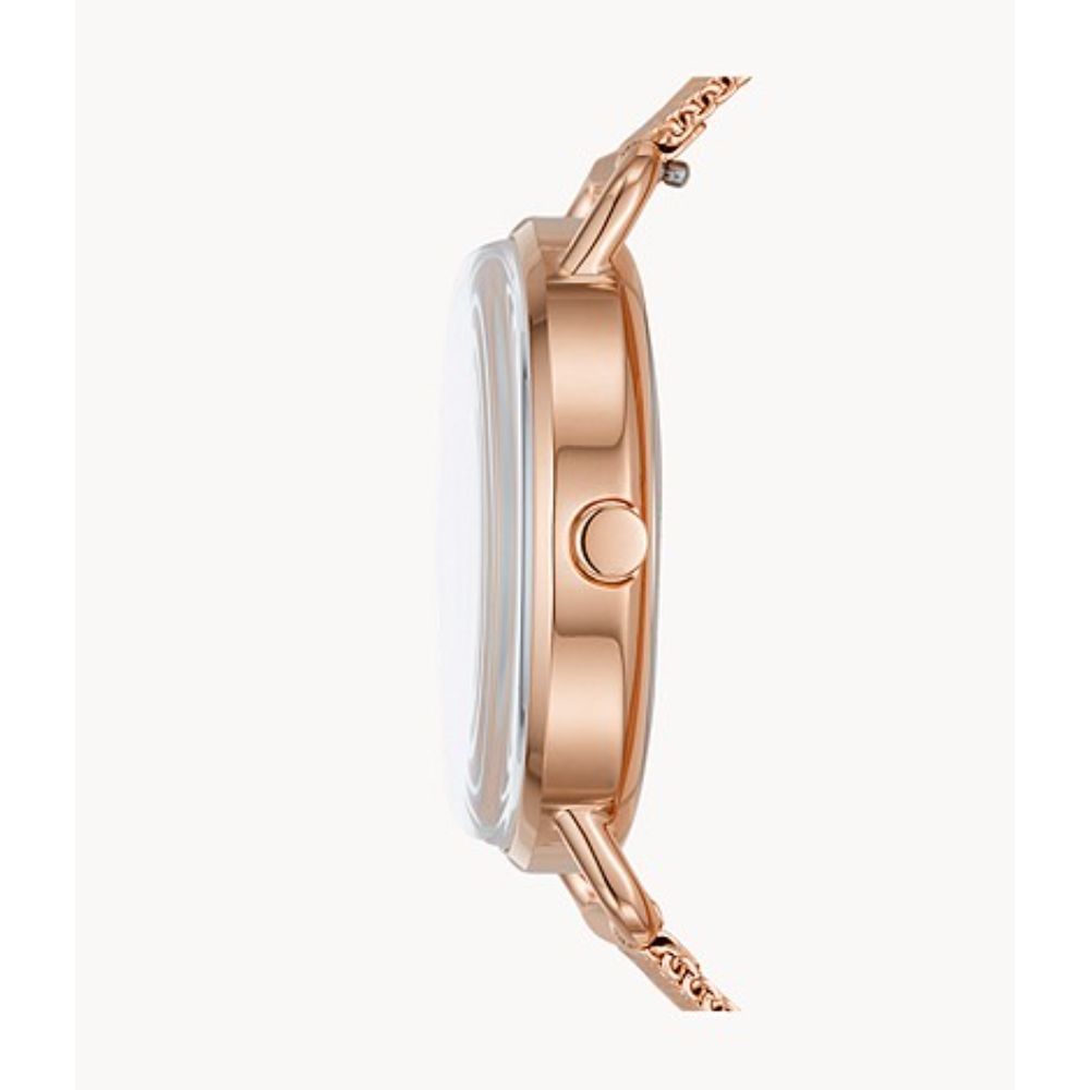 Skagen Dame SKW2931