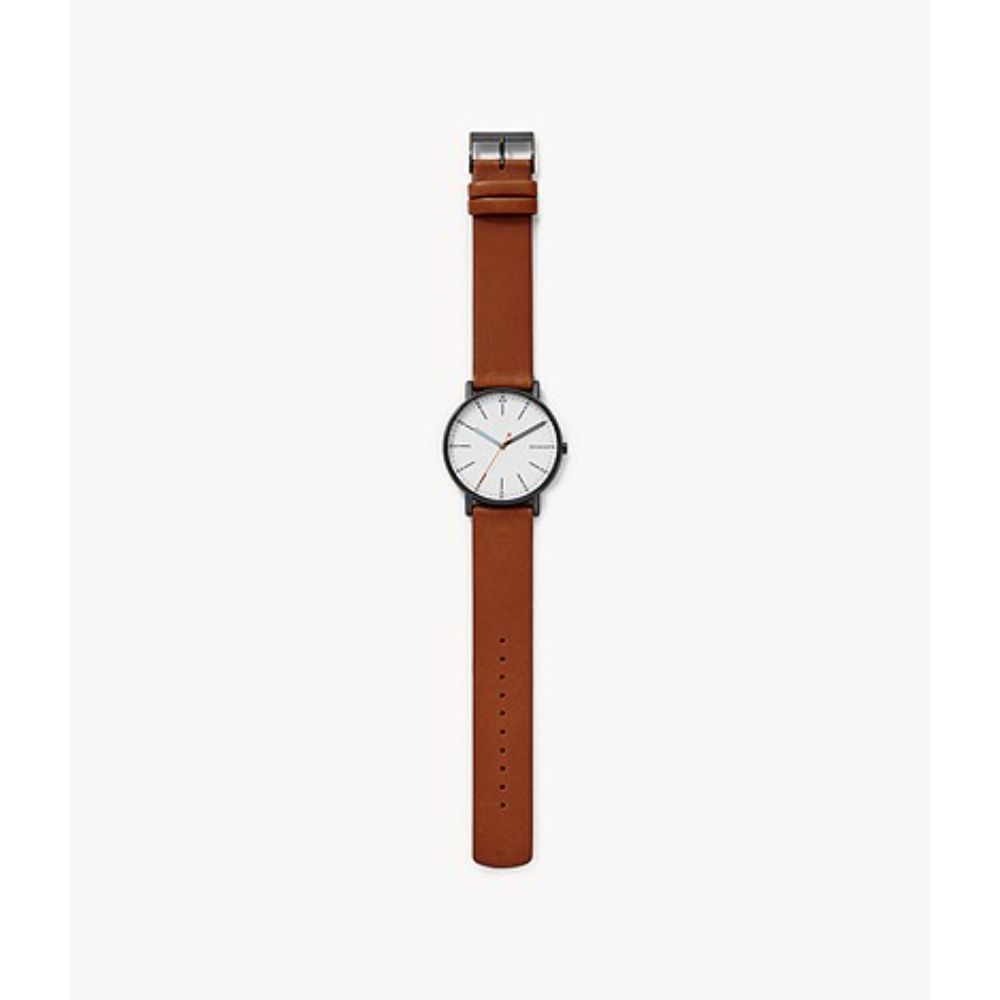 Skagen Herre SKW6374