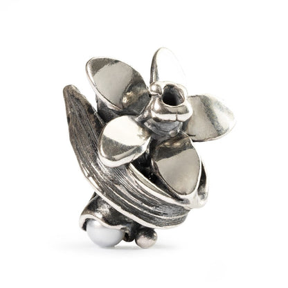 Trollbeads December Pinselilje