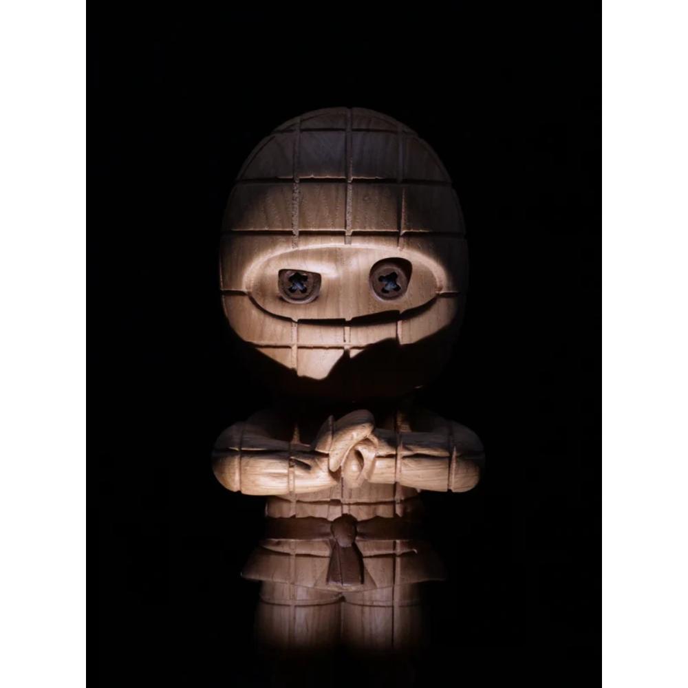 Boyhood Ternet Ninja Small