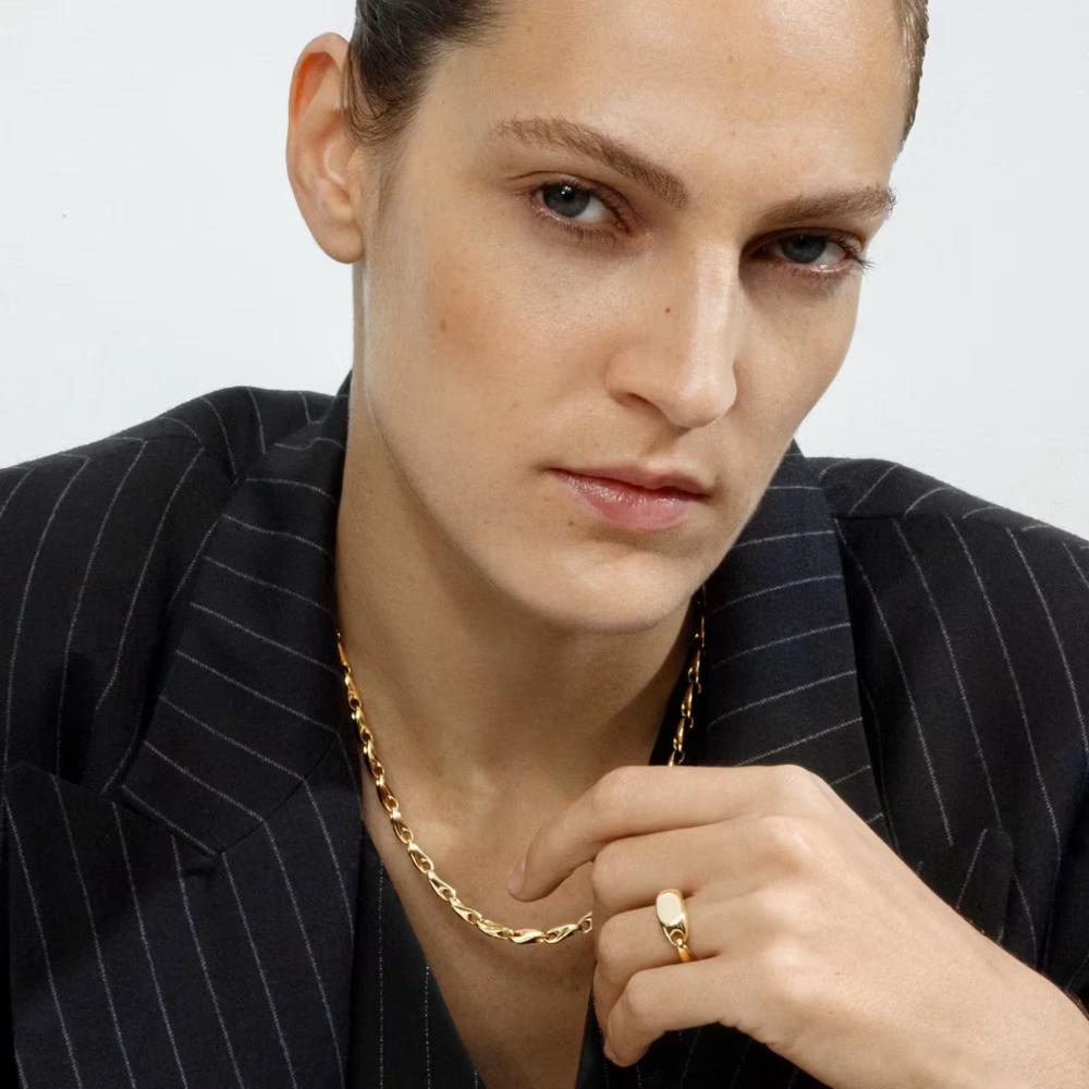 Georg Jensen Reflect Signet Ring 18 kt