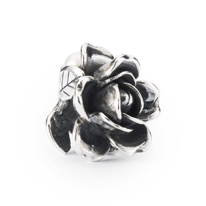 Trollbeads Juni Rose