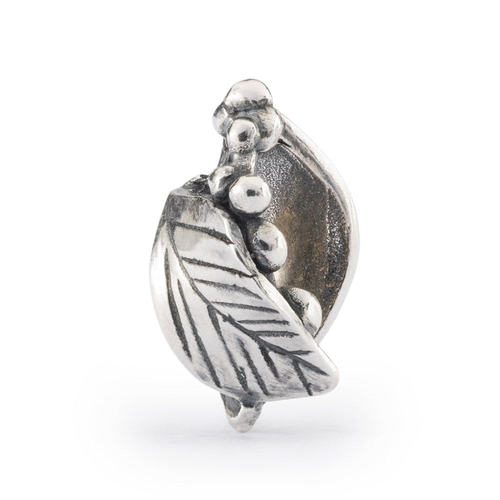 Trollbeads Fresh Beginnings