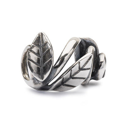 Trollbeads Indrammet af natur