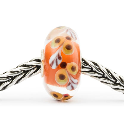 Trollbeads Happy Climber Bead