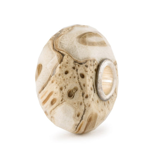 Trollbeads Fossilised Wood Bead