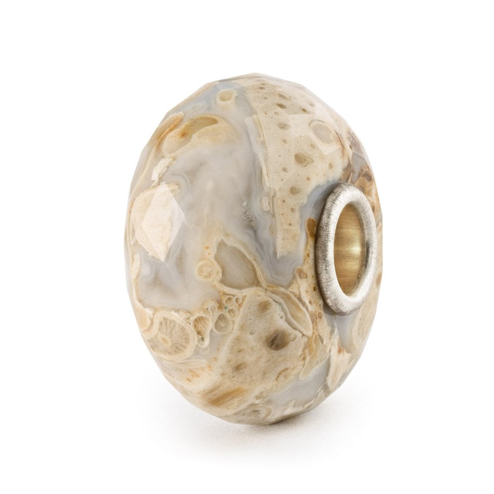 Trollbeads Fossilised Wood Bead