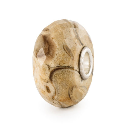 Trollbeads Fossilised Wood Bead
