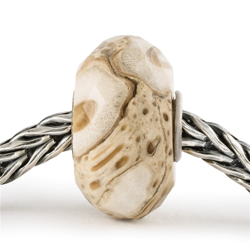 Trollbeads Fossilised Wood Bead