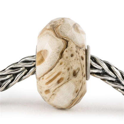 Trollbeads Fossilised Wood Bead