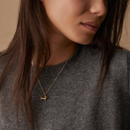 Kay Bojesen Jewelry Hund i forgyldt