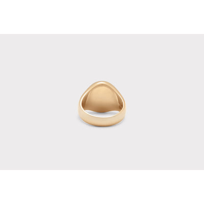 Ix Studios Oval Signet Tiger Eye ring