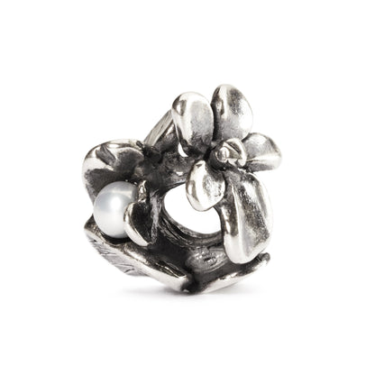 Trollbeads Violet of February Bead