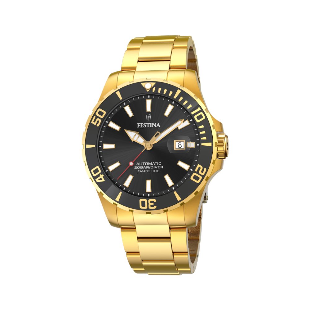 Festina Herre 20533/2